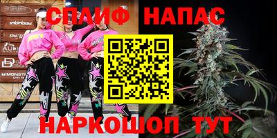 прущие грибы Лесосибирск