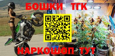 прущие грибы Лесосибирск