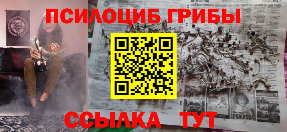 Галлюциногенные грибы Psilocybine cubensis  Вход с VPN  Ирбит 
